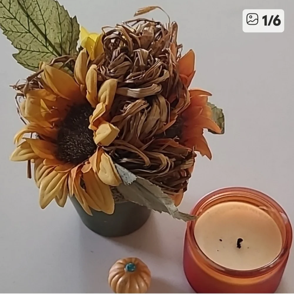 Fall Bundle